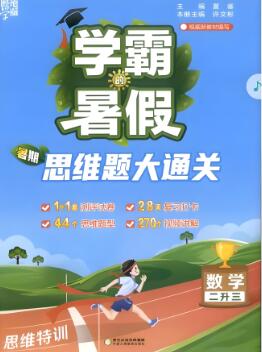 《学霸暑假思维题大通关》