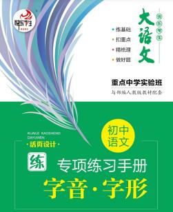 《大语文·初中语文专项练习册》