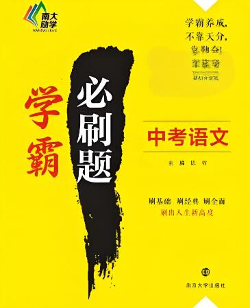 《中考学霸必刷题》
