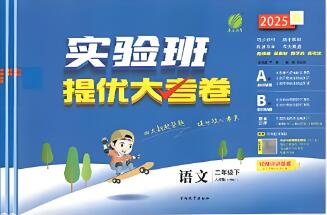 《实验班提优大考卷》
